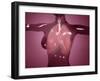 Conceptual Image of Female Body with Lungs, Glassy Look-null-Framed Art Print