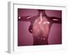 Conceptual Image of Female Body with Lungs, Glassy Look-null-Framed Art Print