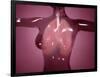 Conceptual Image of Female Body with Lungs, Glassy Look-null-Framed Art Print