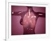 Conceptual Image of Female Body with Lungs, Glassy Look-null-Framed Art Print