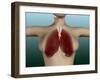 Conceptual Image of Female Body with Lungs-null-Framed Art Print