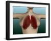 Conceptual Image of Female Body with Lungs-null-Framed Art Print