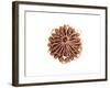 Conceptual Image of Female Breast Anatomy-null-Framed Art Print