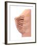 Conceptual Image of Female Breast Anatomy-null-Framed Art Print