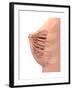 Conceptual Image of Female Breast Anatomy-null-Framed Art Print