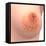 Conceptual Image of Female Breast Anatomy-null-Framed Stretched Canvas