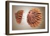 Conceptual Image of Female Breast Anatomy-null-Framed Art Print