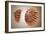 Conceptual Image of Female Breast Anatomy-null-Framed Art Print