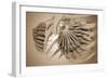 Conceptual Image of Female Breast Anatomy-null-Framed Art Print