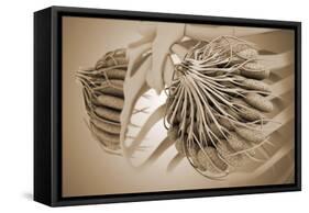 Conceptual Image of Female Breast Anatomy-null-Framed Stretched Canvas