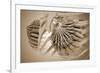 Conceptual Image of Female Breast Anatomy-null-Framed Art Print