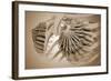 Conceptual Image of Female Breast Anatomy-null-Framed Art Print