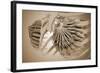 Conceptual Image of Female Breast Anatomy-null-Framed Art Print