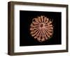 Conceptual Image of Female Breast Anatomy-null-Framed Art Print