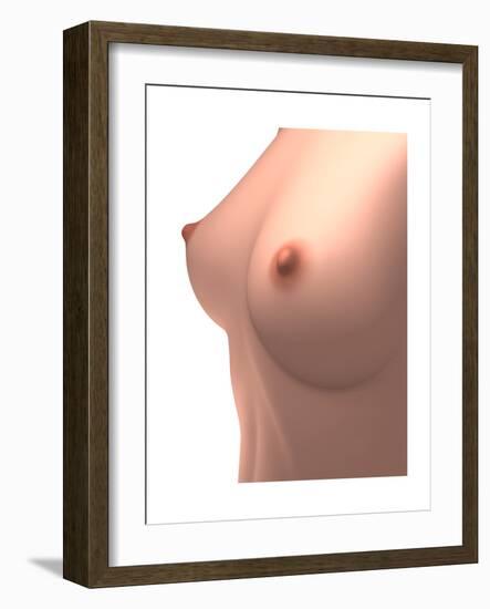 Conceptual Image of Female Breast-null-Framed Art Print