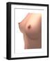 Conceptual Image of Female Breast-null-Framed Art Print