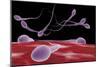 Conceptual Image of Fertilization-null-Mounted Premium Giclee Print