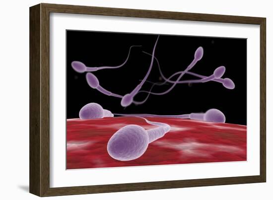 Conceptual Image of Fertilization-null-Framed Art Print