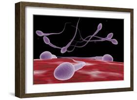 Conceptual Image of Fertilization-null-Framed Art Print