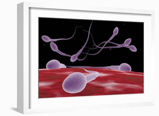 Conceptual Image of Fertilization-null-Framed Art Print