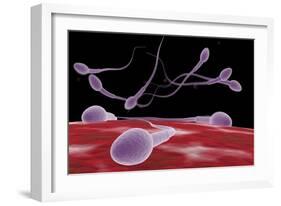 Conceptual Image of Fertilization-null-Framed Art Print