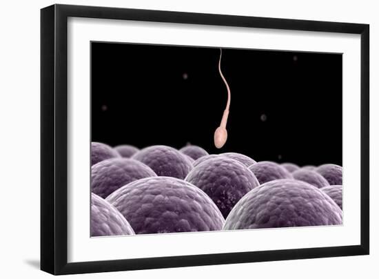 Conceptual Image of Fertilization-null-Framed Art Print
