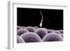 Conceptual Image of Fertilization-null-Framed Art Print