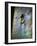 Conceptual Image of Figure in Water-Clive Nolan-Framed Photographic Print