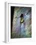 Conceptual Image of Figure in Water-Clive Nolan-Framed Photographic Print