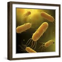 Conceptual Image of Flagellate Bacterium-null-Framed Art Print