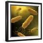 Conceptual Image of Flagellate Bacterium-null-Framed Art Print