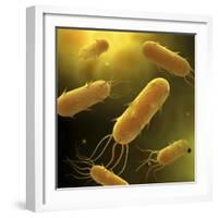 Conceptual Image of Flagellate Bacterium-null-Framed Art Print