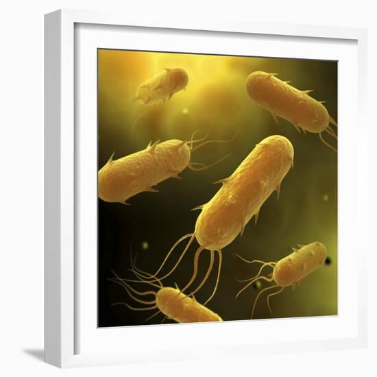 Conceptual Image of Flagellate Bacterium-null-Framed Art Print