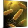 Conceptual Image of Flagellate Bacterium-null-Mounted Art Print