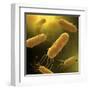 Conceptual Image of Flagellate Bacterium-null-Framed Art Print