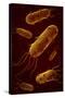 Conceptual Image of Flagellate Bacterium-null-Stretched Canvas