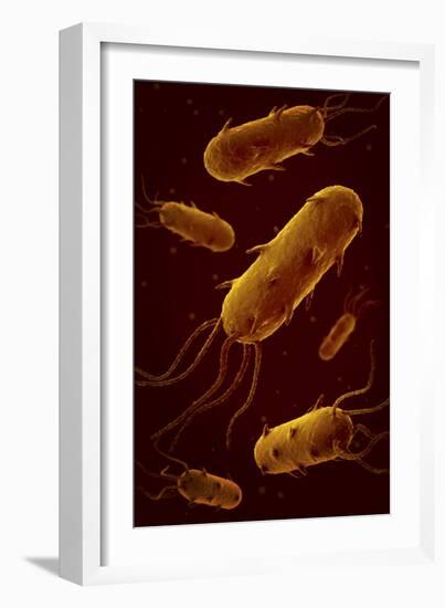 Conceptual Image of Flagellate Bacterium-null-Framed Art Print