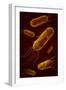 Conceptual Image of Flagellate Bacterium-null-Framed Art Print