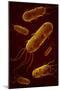 Conceptual Image of Flagellate Bacterium-null-Mounted Art Print