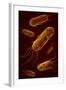 Conceptual Image of Flagellate Bacterium-null-Framed Art Print