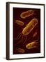 Conceptual Image of Flagellate Bacterium-null-Framed Art Print