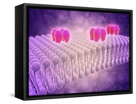 Conceptual Image of Gaba Receptors-null-Framed Stretched Canvas