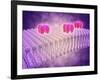 Conceptual Image of Gaba Receptors-null-Framed Art Print