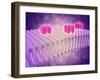 Conceptual Image of Gaba Receptors-null-Framed Art Print