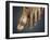 Conceptual Image of Gout in the Big Toe-null-Framed Art Print