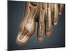 Conceptual Image of Gout in the Big Toe-null-Mounted Art Print