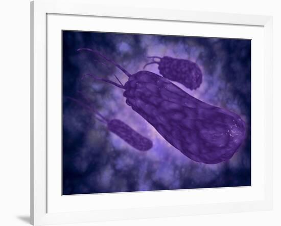 Conceptual Image of Helicobacter-null-Framed Art Print