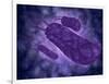 Conceptual Image of Helicobacter-null-Framed Art Print