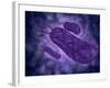 Conceptual Image of Helicobacter-null-Framed Art Print