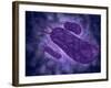 Conceptual Image of Helicobacter-null-Framed Art Print